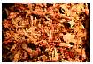 pulledpork.JPG